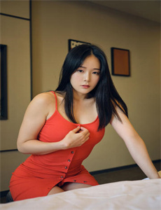 《阿普正传》